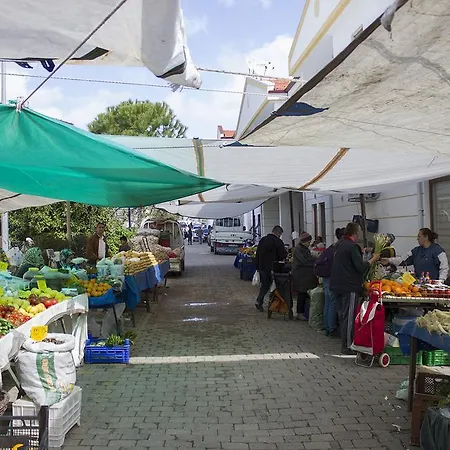 Begonvils Datça