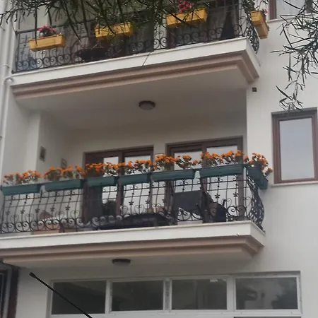 Begonvils Datça