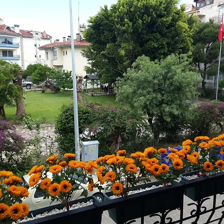 Begonvils * Datça